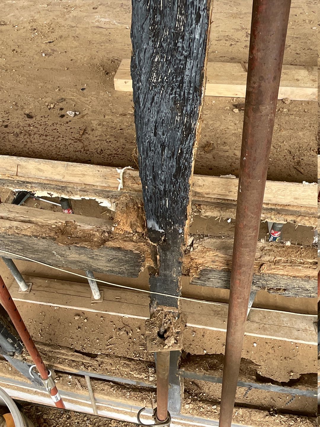 Stark durch Pilze zersetzte Holzbalken